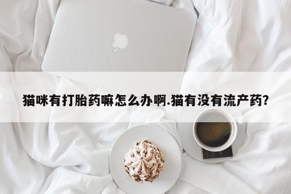流产药怎么买猫咪有打胎药嘛怎么办啊.猫有没有流产药？