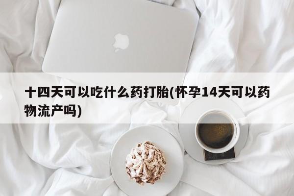 流产药怎么买十四天可以吃什么药打胎(怀孕14天可以药物流产吗)
